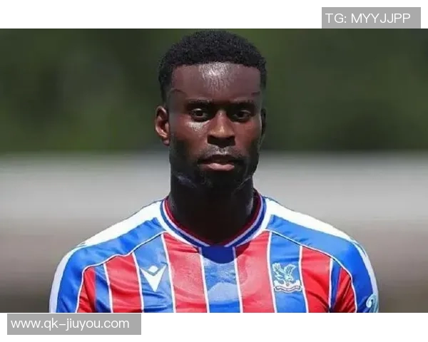 查洛巴替代受伤格伊入选英格兰队之前两期未能入选 查洛巴替代受伤格伊入选英格兰队之前两期未能入选